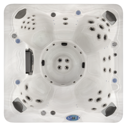 Спа бассейн Vita Spa Monarque